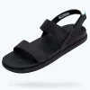 ellis_sugarlite_1.webp Native Shoes Sandals^Ellis Sugarlite Jiffy Black/ Jiffy Black